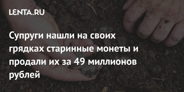 Британская пара нашла в саду старинные монеты и продала их за 49 миллионов рублей
