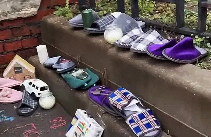 Дело Долиной вызвало общественное возмущение и волну проверок