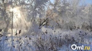 Экстремальные морозы до –55 градусов ожидаются в Омской области зимой