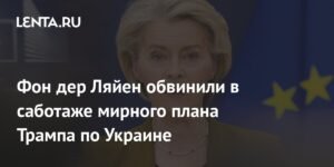 Фон дер Ляйен обвиняют в срыве мирного плана Трампа по Украине