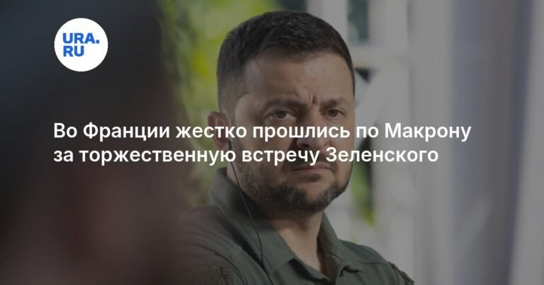 Французский политик Филиппо резко раскритиковал прием Зеленского Макроном