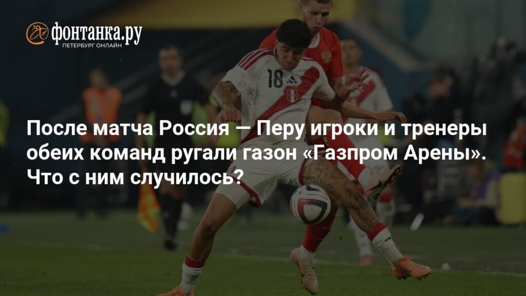 Газпром Арена: почему газон подвел после матча Россия - Перу