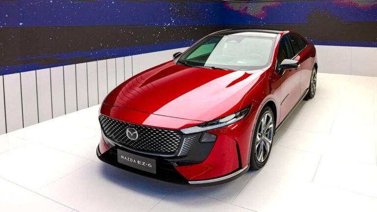 Как правильно перевозить собак в машине: советы экспертов Mazda