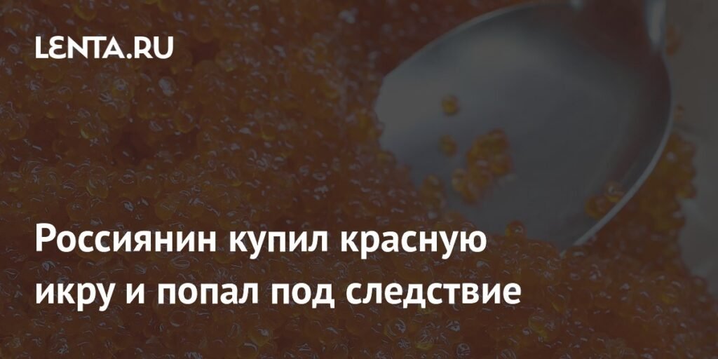 Камчатка: задержан скупщик браконьерской красной икры