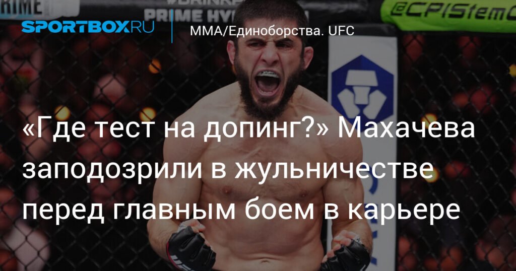 Махачев против допинговых подозрений: где правда?
