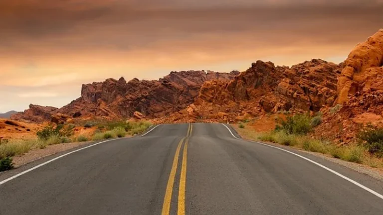 Массовое захоронение человеческих останков обнаружено в пустыне Невады