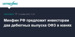 Минфин РФ выпустит дебютные ОФЗ в юанях для инвесторов
