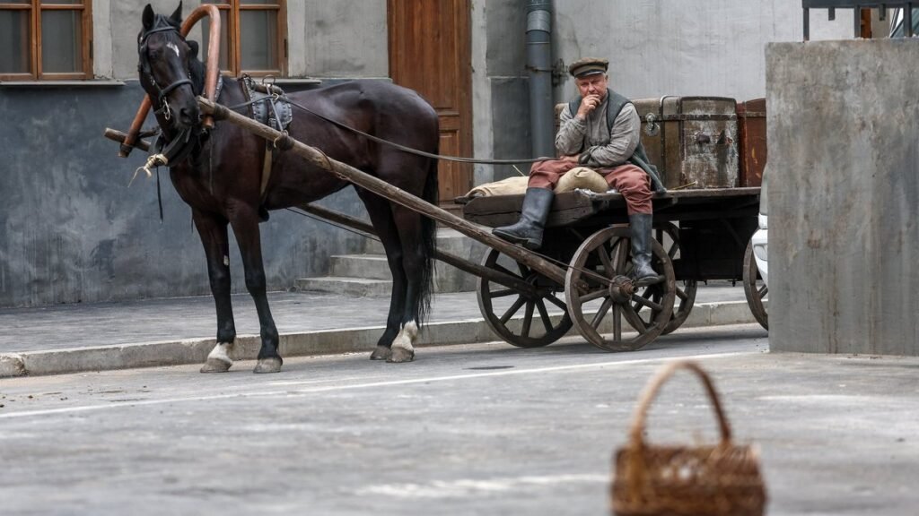 Москинопарк: как животные участвуют в кинопроизводстве