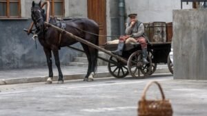 Москинопарк: как животные участвуют в кинопроизводстве