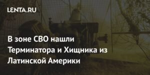 На Украине в зоне СВО замечены латиноамериканские наемники с позывными Терминатор и Хищник