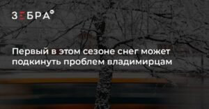 Первый снег во Владимире: ГИБДД предупреждает о гололедице и аварийности