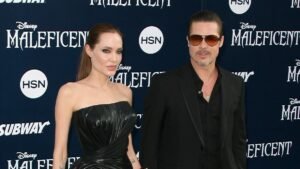 Питт предлагал Джоли 55 миллионов долларов за долю в Miraval