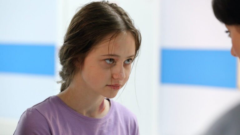 Раскрытие тайны маньяка: финал сериала «Как приручить лису»