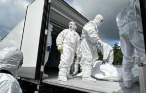 Россия передала Украине 1000 тел солдат ВСУ в рамках стамбульских договоренностей