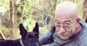 Розенбаум объяснил, почему завершил карьеру: «Непонимание или нежелание меня слышать»