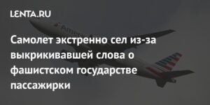 Самолет American Airlines экстренно сел из-за пассажирки, выкрикивавшей о фашистском государстве