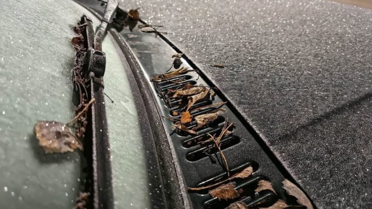 Скрытые опасности для водителей осенью и зимой: советы эксперта