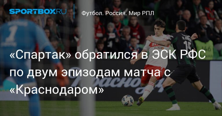 «Спартак» просит РФС разобраться с судейством в матче с «Краснодаром»