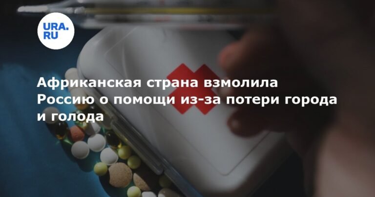 Судан просит Россию о помощи после потери города Эль-Фашер