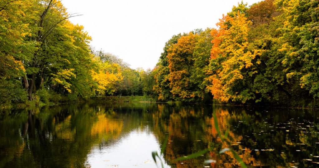 Тамара Глоба: ноябрь принесет перемены и испытания для всех знаков зодиака