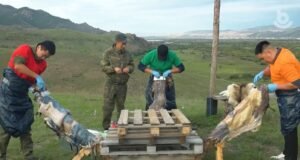 В Бурятии завершилась «Битва семей» - Ариг Ус