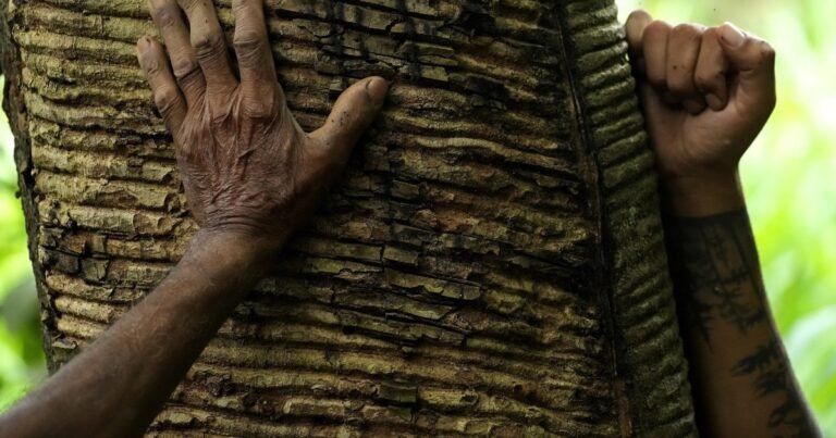 Великобритания и репарации: Карибы и Африка требуют компенсаций за рабство