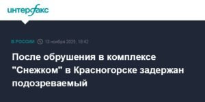 Задержан подозреваемый по делу об обрушении в комплексе "Снежком"