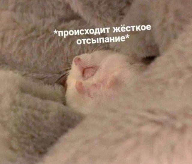 7 захватывающих сериалов для новогодних каникул