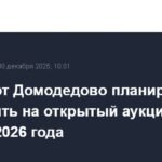 Аэропорт Домодедово выставят на аукцион в 2026 году