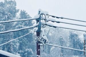 Более 24 тысяч человек в Пензенской области остались без электричества