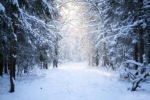 Бурятию ждут морозы до -47 градусов