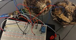 Грибы как оперативная память: прорыв в вычислительной технике