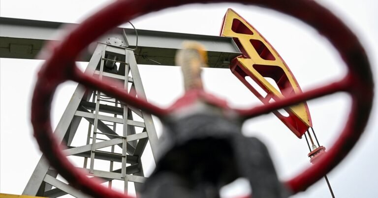 Индия продолжит закупать российскую нефть несмотря на давление США