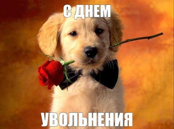 IT-рынок: сокращения продолжаются - когда ждать улучшений?