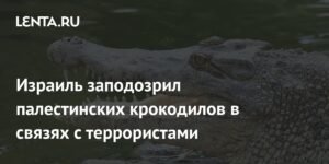 Израиль объяснил истребление крокодилов на Западном берегу Иордана