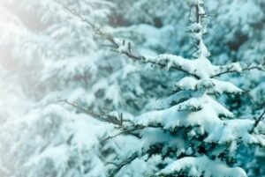 Ледяной шторм надвигается на регионы России