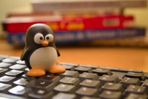 Linux набирает популярность среди геймеров: альтернатива Windows