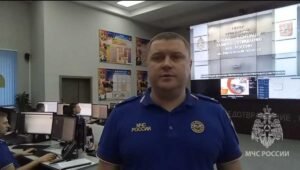 МЧС предупредило жителей Подмосковья о сильном тумане