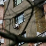 Мосгорсуд выселил Ларису Долину из квартиры в Хамовниках