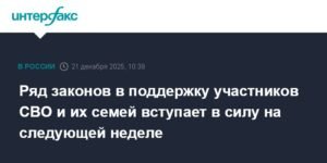 Новые законы в поддержку участников СВО и их семей