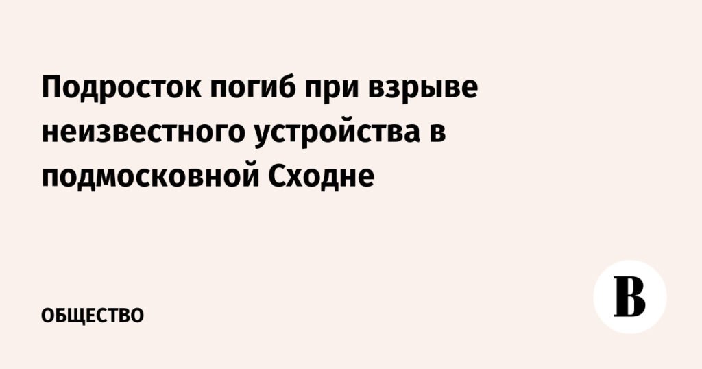 Подросток погиб при взрыве устройства в Сходне
