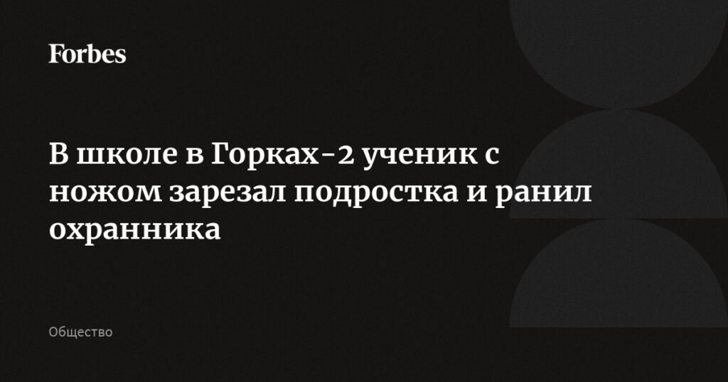 Трагедия в Горках-2: подросток с ножом напал на учеников и охранника