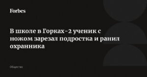 Трагедия в Горках-2: подросток с ножом напал на учеников и охранника