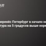 Циклон принес в Петербург аномальное тепло