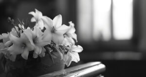 Умерла актриса Ксения Качалина, бывшая жена Михаила Ефремова