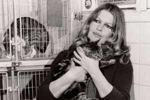 Умерла Брижит Бардо: звезда французского кино и зоозащитница