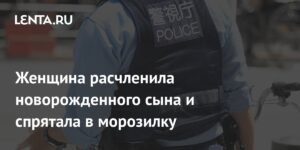 В Японии женщина расчленила новорожденного сына и спрятала в морозилке