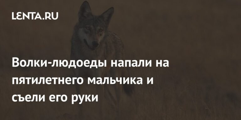В Индии волки-людоеды напали на детей и съели руки пятилетнего мальчика