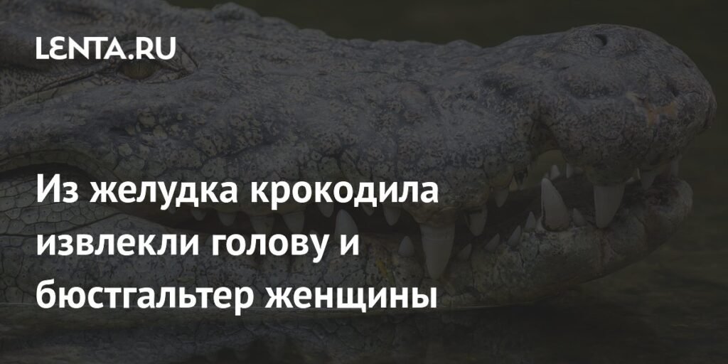 В Зимбабве крокодил убил женщину и был обезврежен: детали трагедии