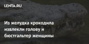 В Зимбабве крокодил убил женщину и был обезврежен: детали трагедии